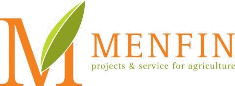 Menfin