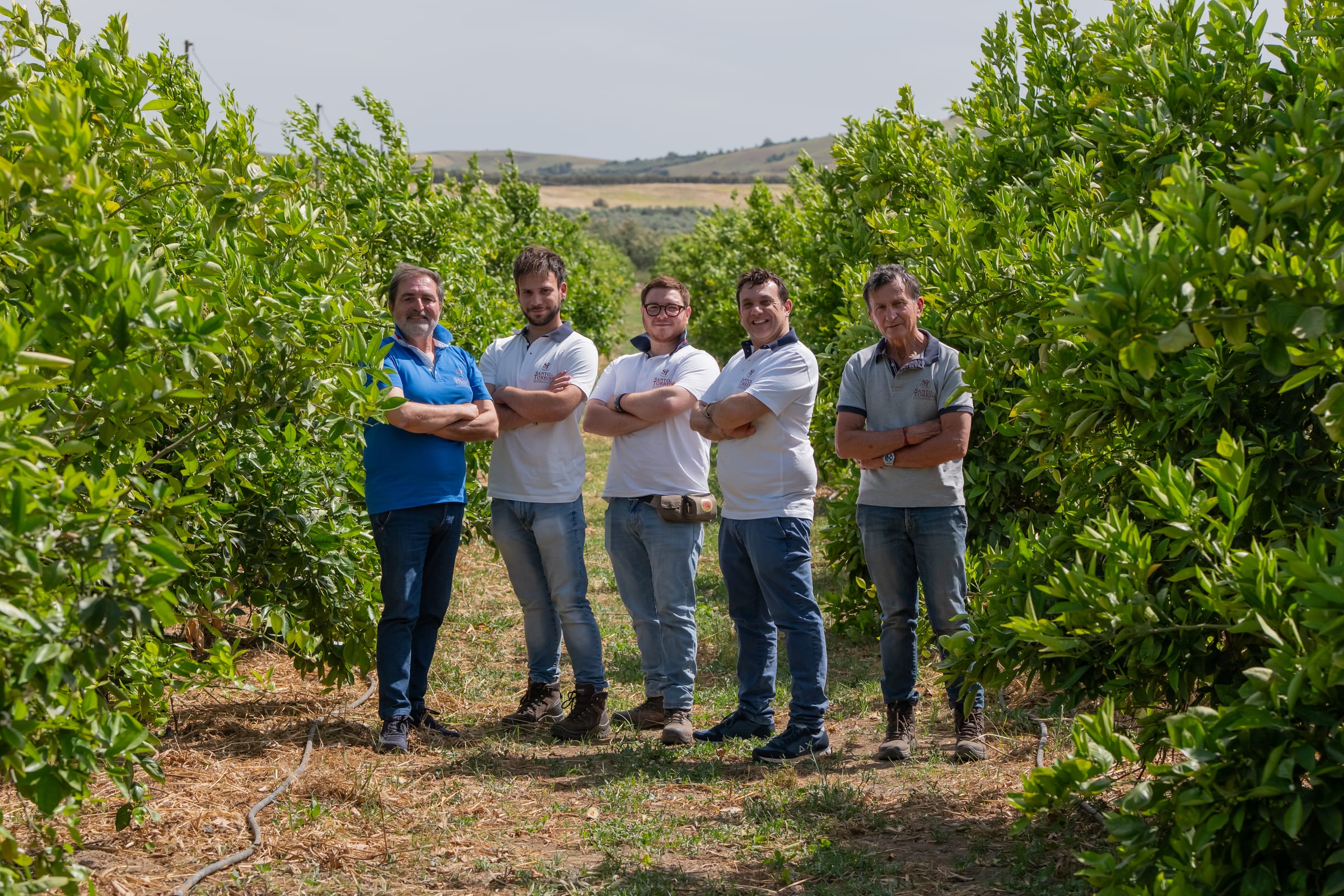Cinque tecnici della Santo Torrisi Srl in un agrumeto, davanti alle piante che seguono