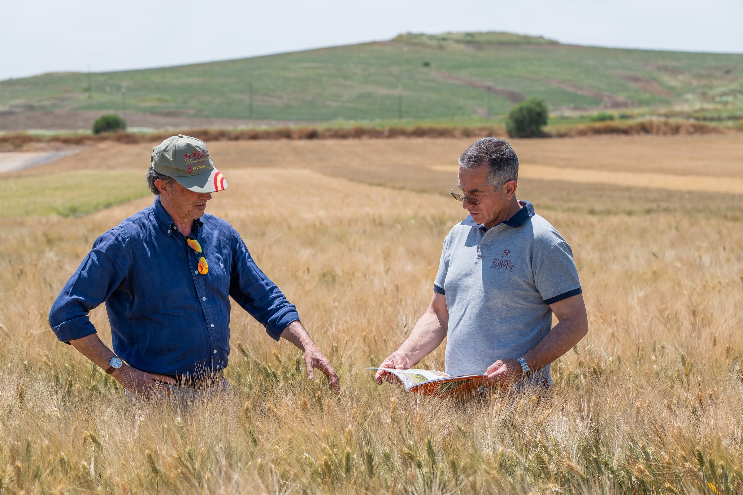 Due tecnici a confronto su una scheda tecnica in un campo di grano