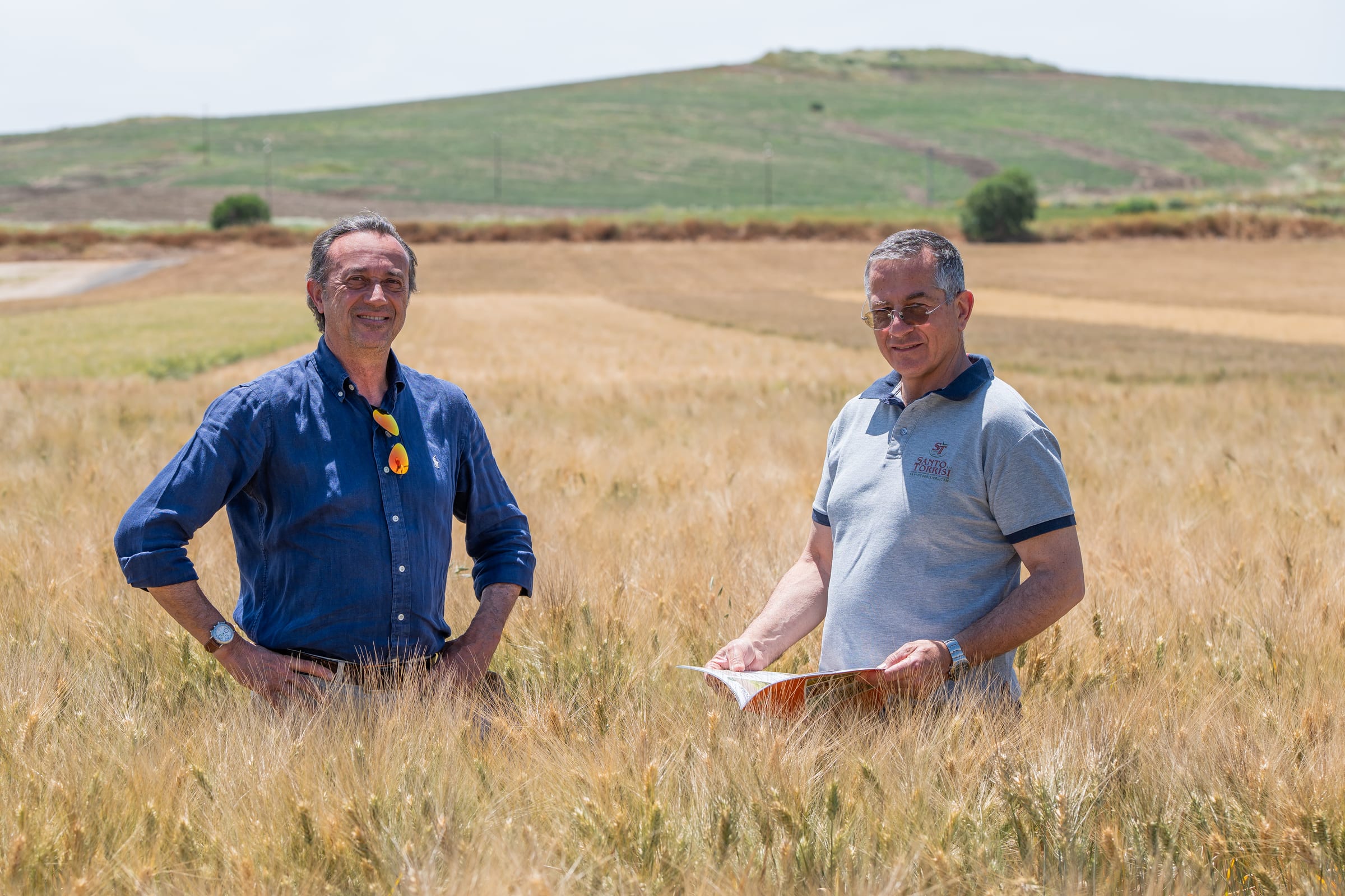 Un agronomo annota i rilievi su una scheda, in mezzo al grano maturo